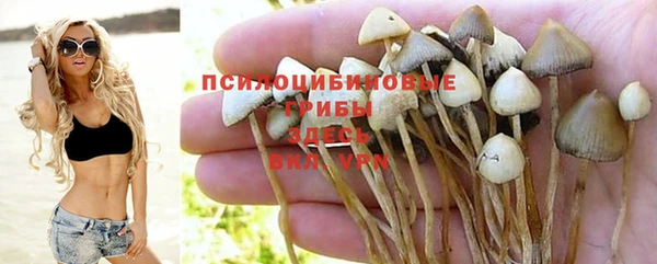 эйфоретик Аркадак
