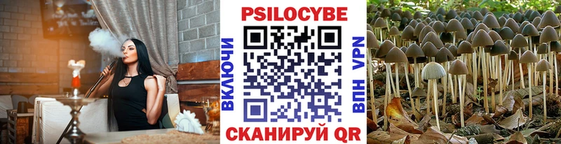 Купить  Славск  Псилоцибиновые грибы Psilocybine cubensis 